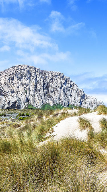 SURFSIDE STAY, MORRO BAY ATTRACTIONS