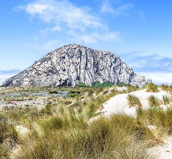 SURFSIDE STAY, MORRO BAY ATTRACTIONS