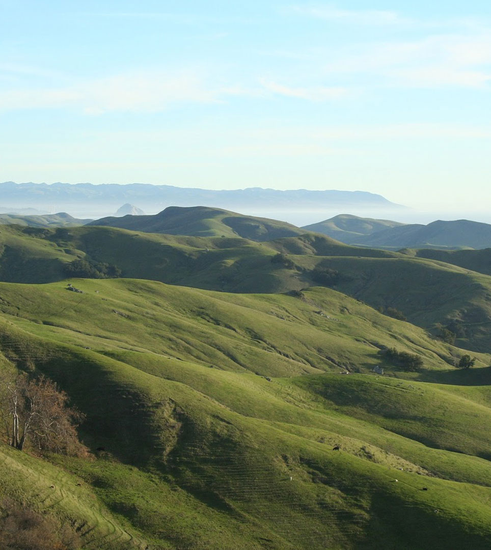  DISCOVER TOP RATED MORRO BAY, CA ATTRACTIONS NEAR THE Surfside Stay Morro Bay