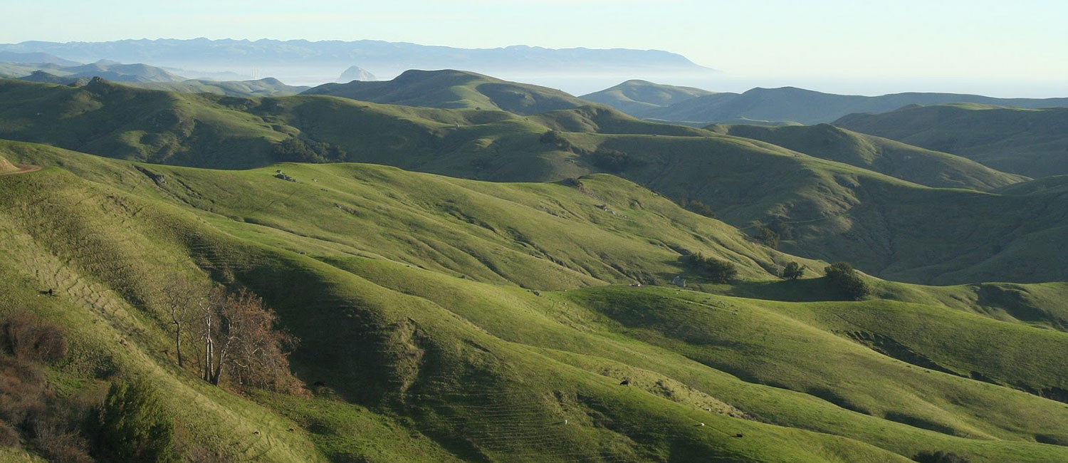  DISCOVER TOP RATED MORRO BAY, CA ATTRACTIONS NEAR THE Surfside Stay Morro Bay